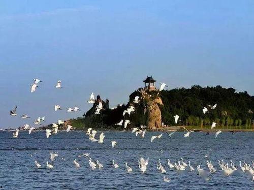 北戴河爆料博主视频,博主带你领略海滨风情与独家爆料  第1张