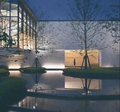 南京徐女士最新爆料消息,揭秘事件背后惊人真相  第3张