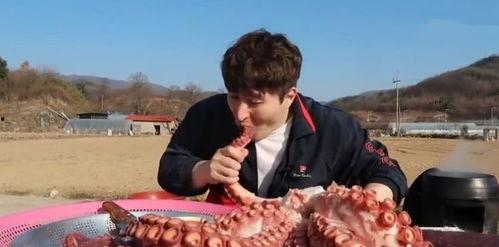 吃瓜网红章鱼,揭秘娱乐圈幕后真相  第2张